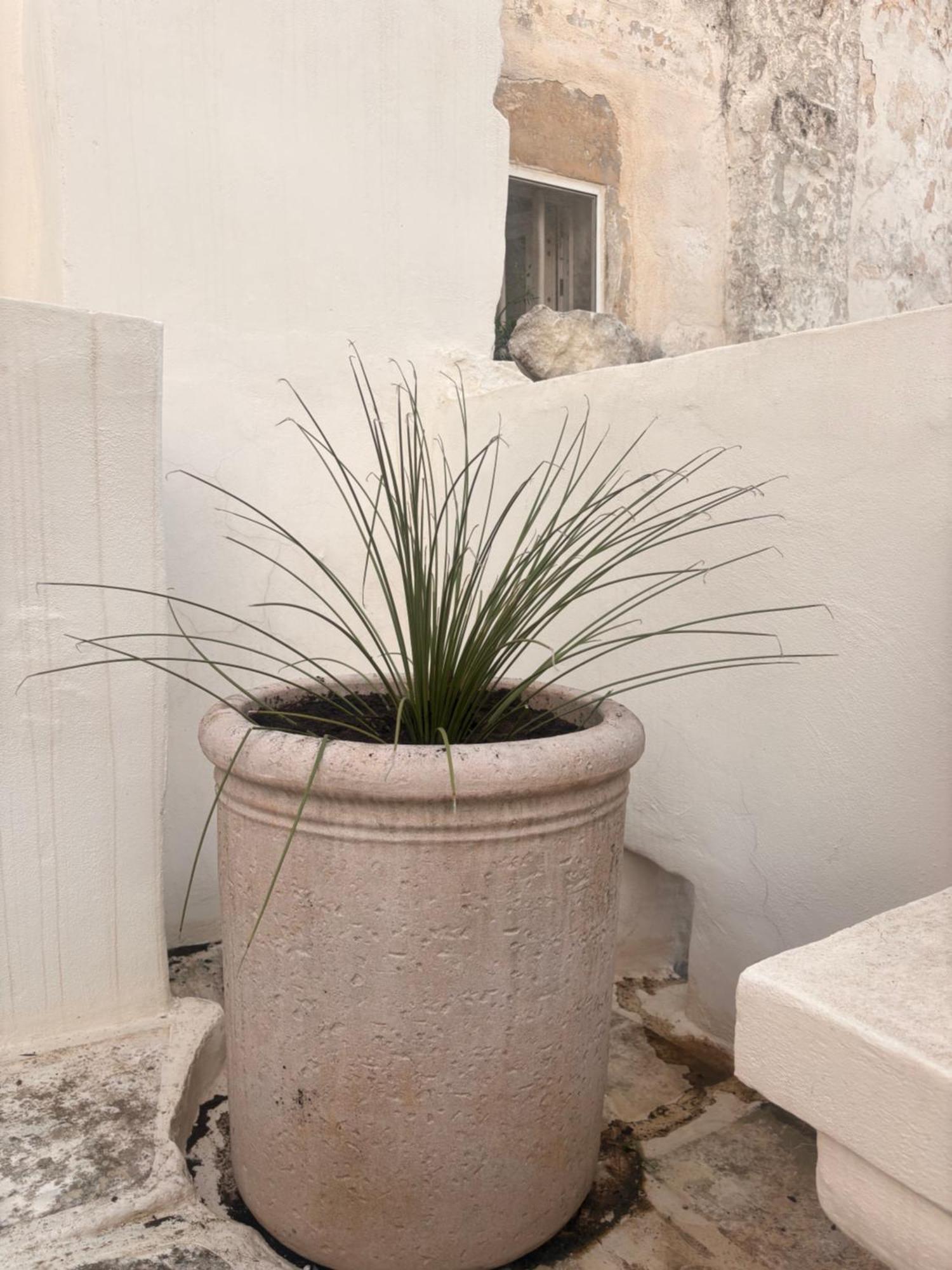 Palazzoliva - Luxury Boho Chic Guest House In The Historic Heart Of Martina Franca Bagian luar foto